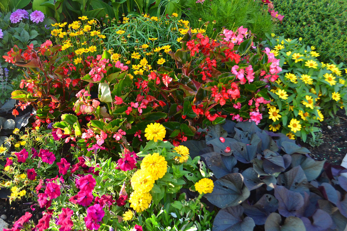 Путешествие в Европу: Достопримечательности франко-немецкого Страсбурга (часть 5, ФОТО)