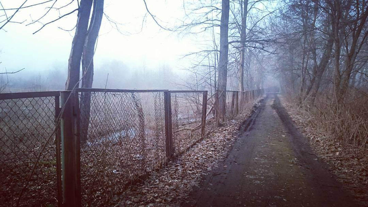 Азербайджанский режиссер готовит в России проекты для мирового проката (ФОТО)