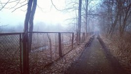 Азербайджанский режиссер готовит в России проекты для мирового проката (ФОТО)