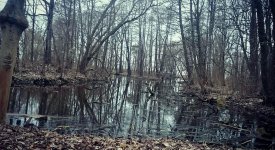 Азербайджанский режиссер готовит в России проекты для мирового проката (ФОТО)