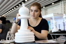 Креативные и красочные шахматные фигуры в Баку (ФОТО)