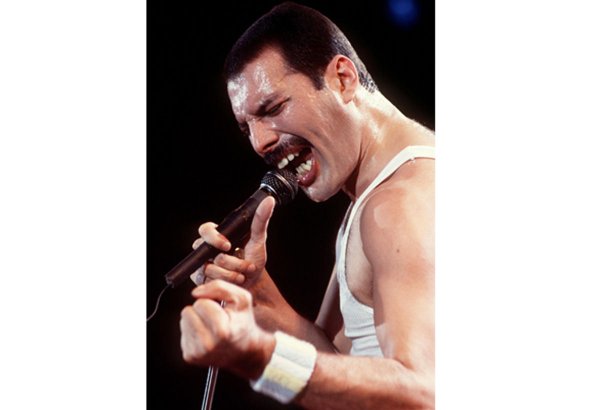 В честь Фредди Меркьюри назвали астероид