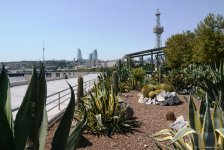 Невидимая жизнь Бакинского бульвара – фоторепортаж