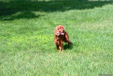 Невидимая жизнь Бакинского бульвара – фоторепортаж