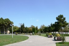 Невидимая жизнь Бакинского бульвара – фоторепортаж