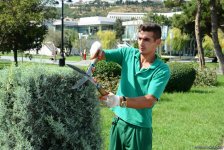 Невидимая жизнь Бакинского бульвара – фоторепортаж