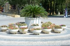 Невидимая жизнь Бакинского бульвара – фоторепортаж