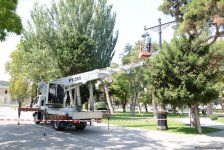 Невидимая жизнь Бакинского бульвара – фоторепортаж