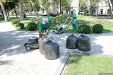 Невидимая жизнь Бакинского бульвара – фоторепортаж