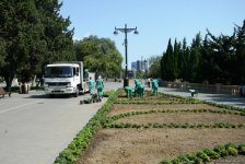 Невидимая жизнь Бакинского бульвара – фоторепортаж