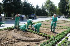 Невидимая жизнь Бакинского бульвара – фоторепортаж