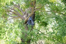 Невидимая жизнь Бакинского бульвара – фоторепортаж