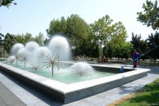 Невидимая жизнь Бакинского бульвара – фоторепортаж