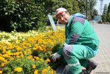 Невидимая жизнь Бакинского бульвара – фоторепортаж