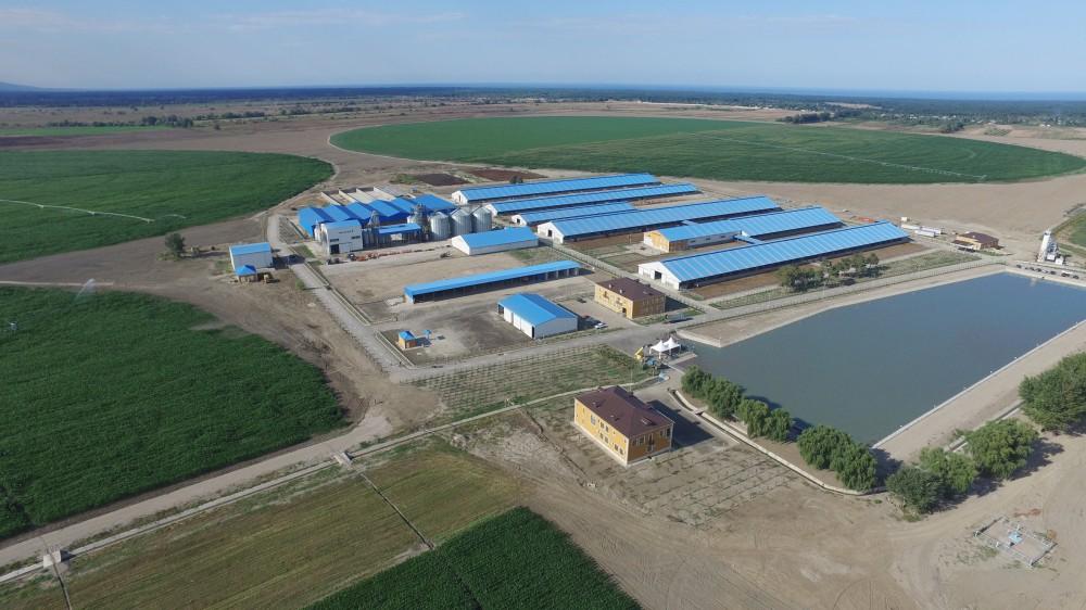 В Гяндже будет создан агропарк