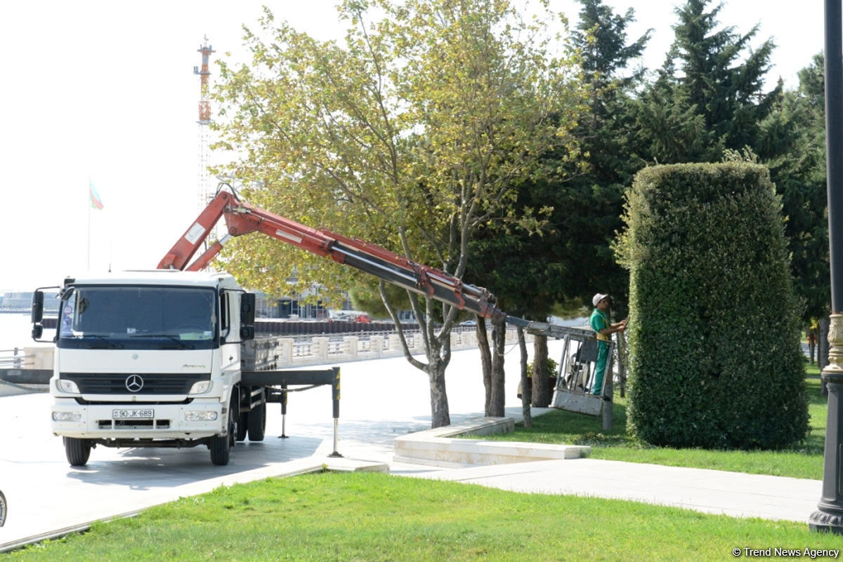 Невидимая жизнь Бакинского бульвара – фоторепортаж