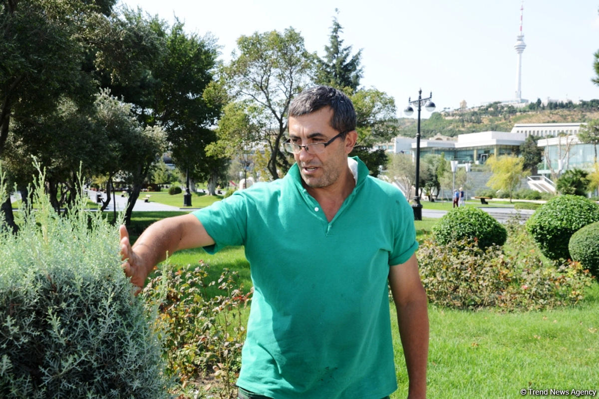 Невидимая жизнь Бакинского бульвара – фоторепортаж