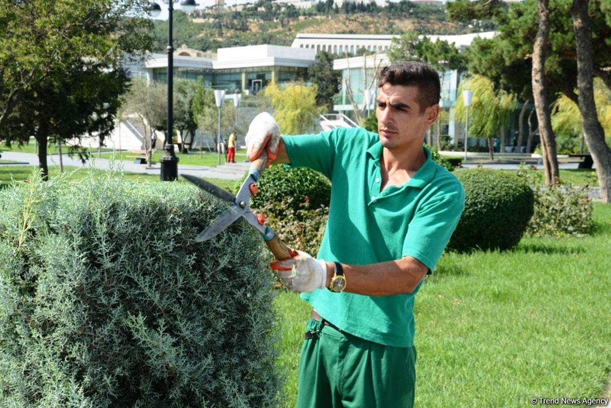 Невидимая жизнь Бакинского бульвара – фоторепортаж