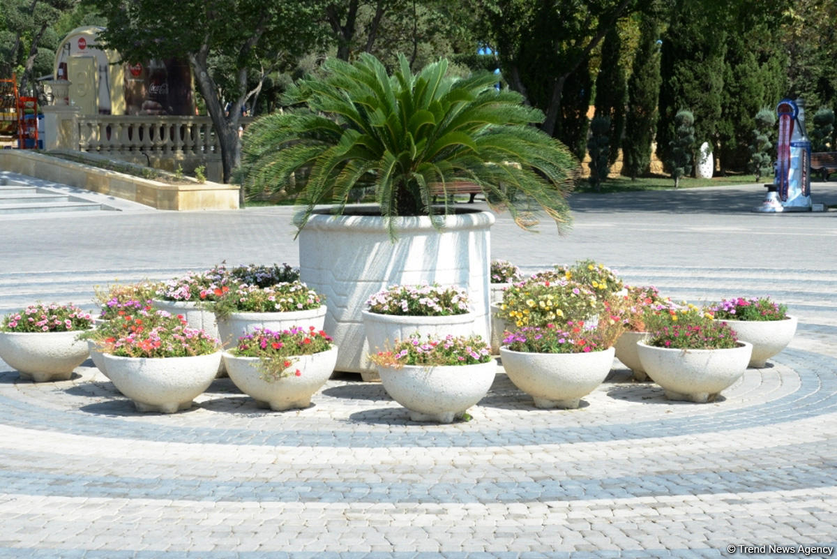 Невидимая жизнь Бакинского бульвара – фоторепортаж