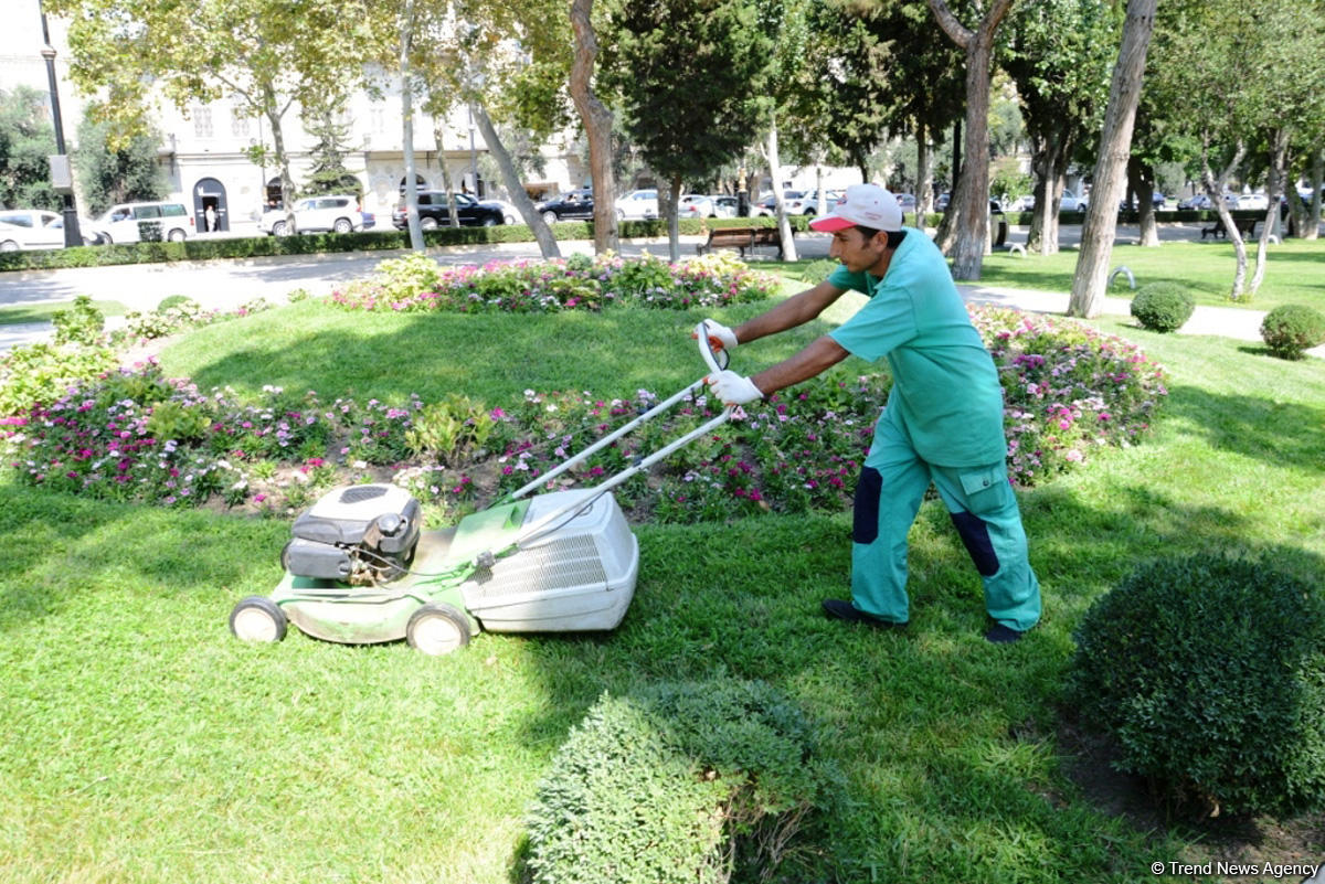 Невидимая жизнь Бакинского бульвара – фоторепортаж
