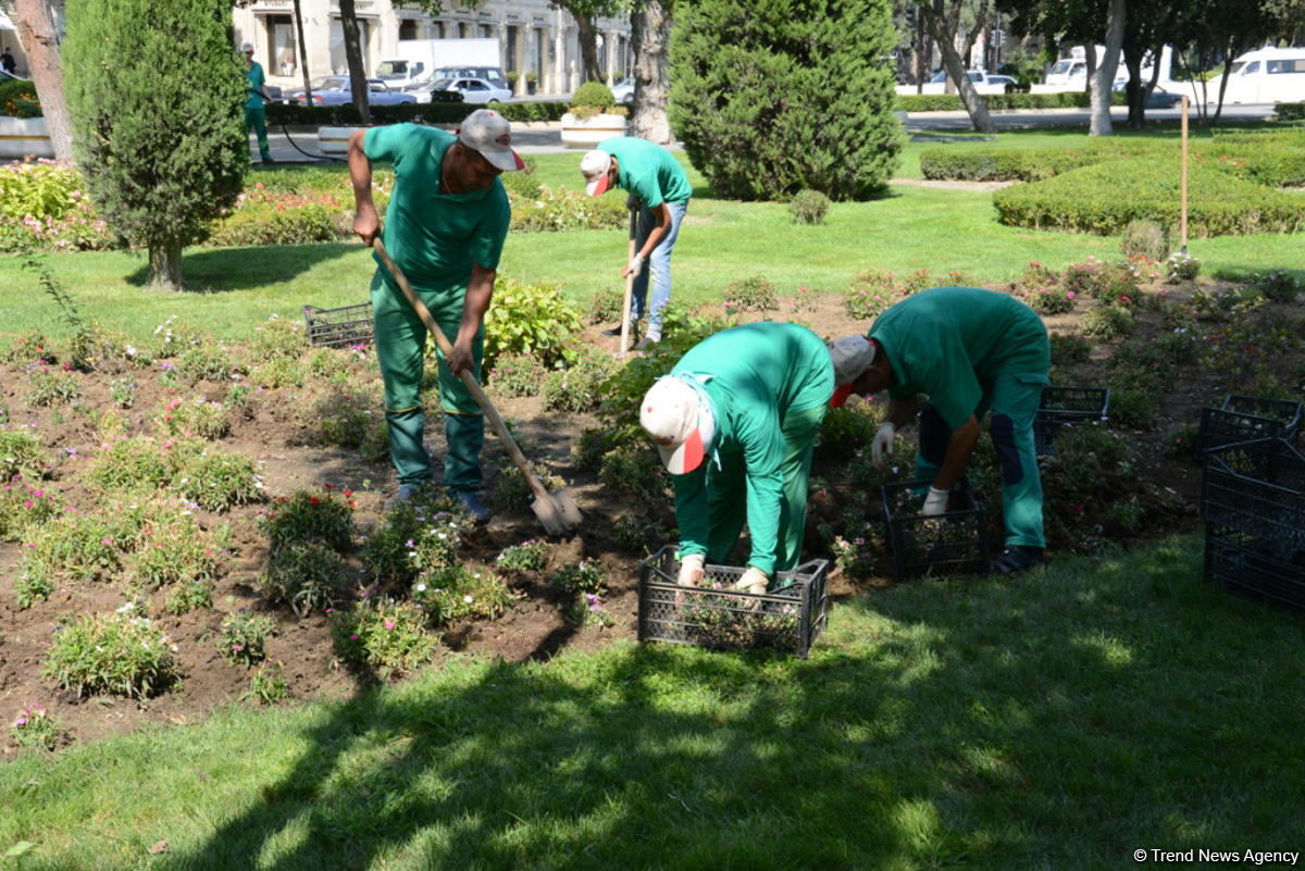 Невидимая жизнь Бакинского бульвара – фоторепортаж