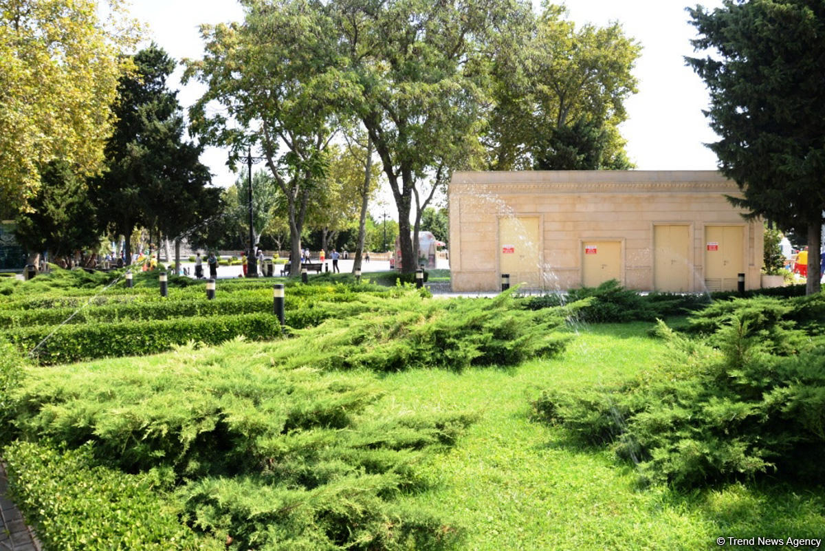 Невидимая жизнь Бакинского бульвара – фоторепортаж