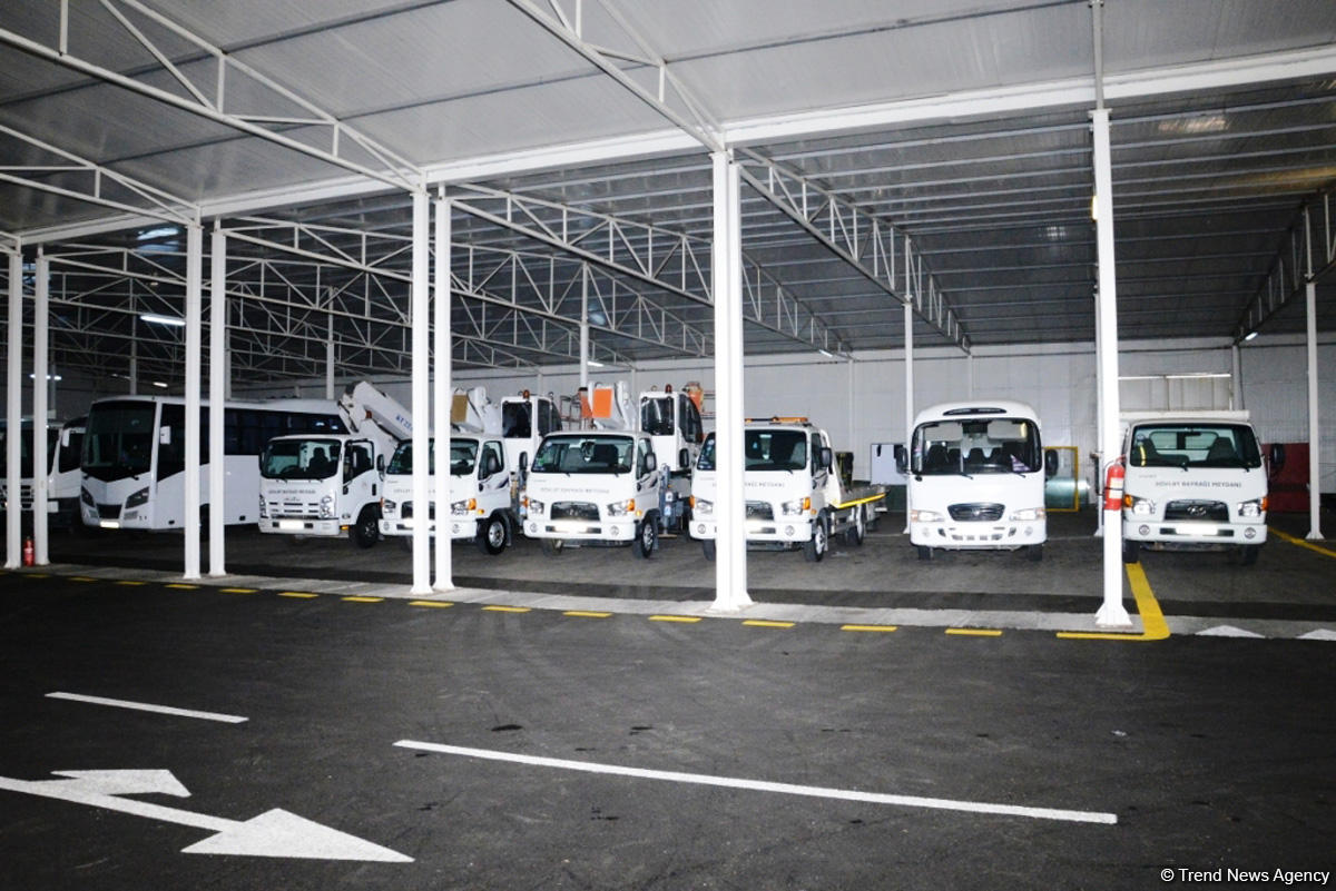 Невидимая жизнь Бакинского бульвара – фоторепортаж