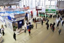 Только благодаря Баку мы выжили в голодные годы войны: Великая литература России и Азербайджана