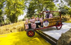 Гонки на драндулетах – фестиваль аварий и креативности из Бухареста в Баку (ФОТО)