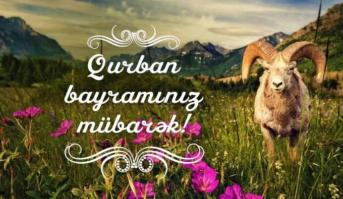 Гурбан байрамы – особенности праздника, ритуал и правила жертвоприношения