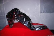 В Проектном Пространстве ARTIM открылась выставка скульпторов "Комфортное онемение" (ФОТО)