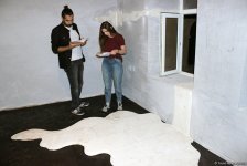 В Проектном Пространстве ARTIM открылась выставка скульпторов "Комфортное онемение" (ФОТО)