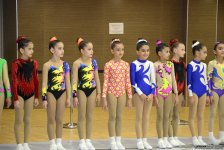 Стартовали II Первенство Азербайджана и Чемпионат Баку по аэробике (ФОТО)