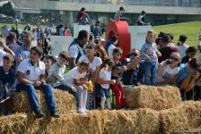 Интервью с победителями креативных гонок Red Bull Soapbox Race в Баку (ФОТО-ВИДЕО)