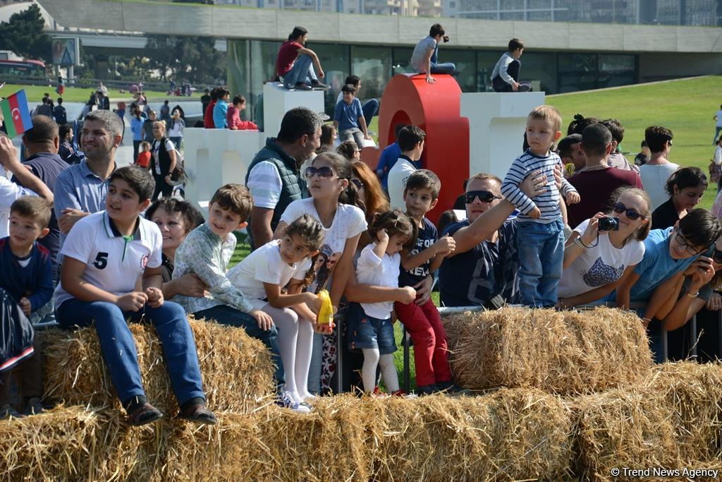 Интервью с победителями креативных гонок Red Bull Soapbox Race в Баку (ФОТО-ВИДЕО)