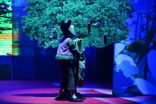 В Баку прошла сказочная битва Кельоглана и Гаравезира (ФОТО)