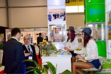 Стройсектор Азербайджана в будущем ждет большое развитие - МЧС   (ФОТО)