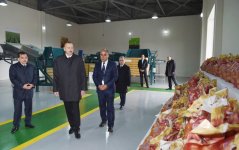 Президент Ильхам Алиев: Азербайджан превратится в важную в мире страну-экспортера сельхозпродукции (ФОТО)