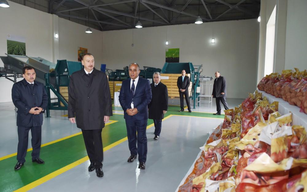 Президент Ильхам Алиев: Азербайджан превратится в важную в мире страну-экспортера сельхозпродукции (ФОТО)