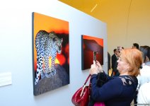 В Центре Гейдара Алиева представлены потрясающие кадры с выставки фотографа-путешественника Тео Аллофса  "Неизведанная Африка" (ФОТО)