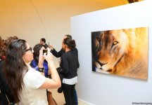 В Центре Гейдара Алиева представлены потрясающие кадры с выставки фотографа-путешественника Тео Аллофса  "Неизведанная Африка" (ФОТО)