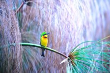 В Центре Гейдара Алиева представлены потрясающие кадры с выставки фотографа-путешественника Тео Аллофса  "Неизведанная Африка" (ФОТО)