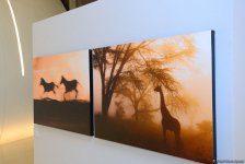 В Центре Гейдара Алиева представлены потрясающие кадры с выставки фотографа-путешественника Тео Аллофса  "Неизведанная Африка" (ФОТО)