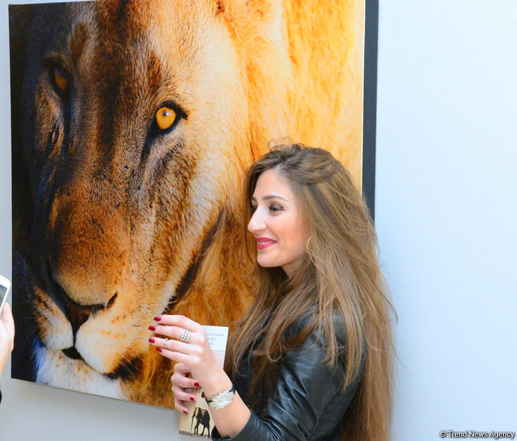 В Центре Гейдара Алиева представлены потрясающие кадры с выставки фотографа-путешественника Тео Аллофса  "Неизведанная Африка" (ФОТО)