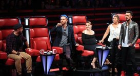 Азербайджанский певец покорил жюри O Ses Türkiye (ВИДЕО)