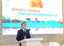 Лейла Алиева: Своей работой, надеждой, верой и любовью мы можем разрешить все проблемы, построить более светлое будущее (ФОТО)