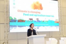 Лейла Алиева: Своей работой, надеждой, верой и любовью мы можем разрешить все проблемы, построить более светлое будущее (ФОТО)