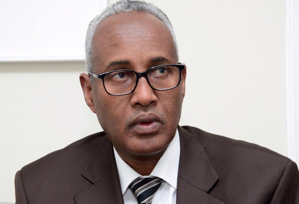 Создание в Азербайджане зоны свободной торговли – проект с большим будущим – глава порта Джибути (Эксклюзив)