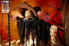 В CinemaPlus прошел маскарадный фестиваль Halloween (ВИДЕО, ФОТО)