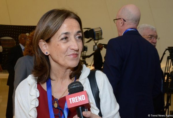 Полученный в Баку опыт имеет важное значение для мировых медиа - глава Lusa(ФОТО)